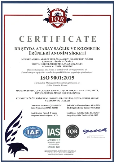 ISO 9001